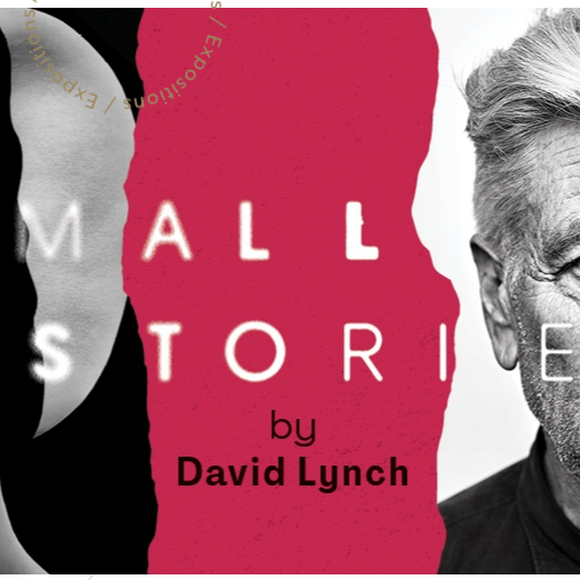 « Small stories by David Lynch » au Cercle-Cité