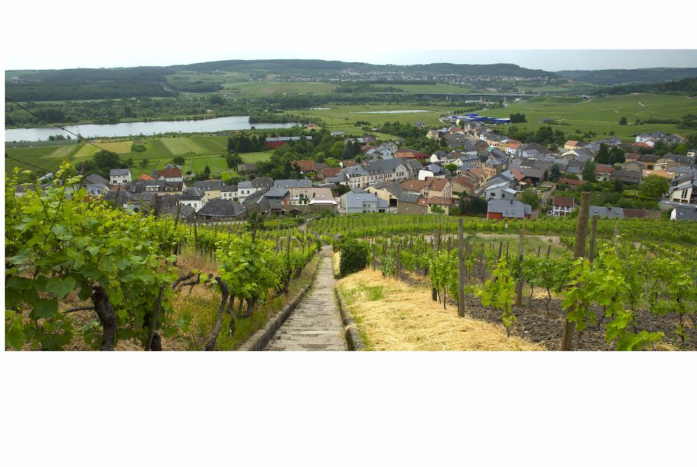 Le village de Schengen, premier site luxembourgeois à être sélectionné pour le Label du patrimoine européen 